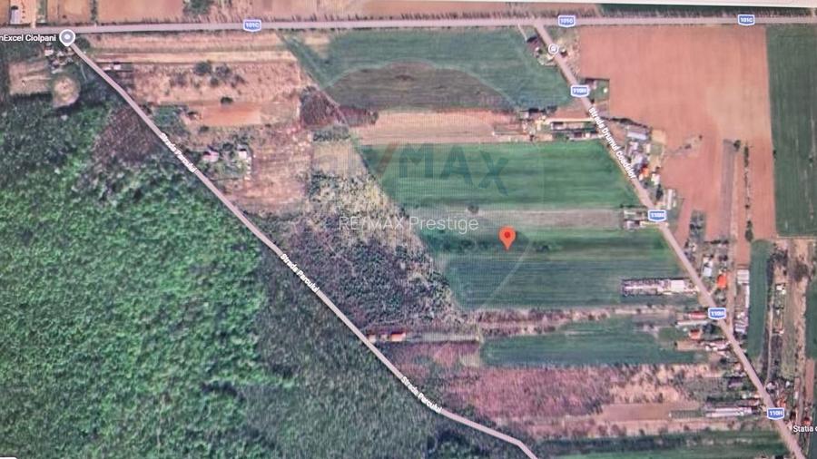 Teren 704 mp Silistea Snagovului vecinatate Padurea Snagov - 3