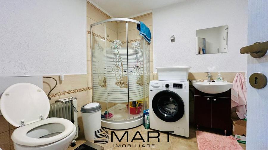 Casa individuala cu gradina si curte sat Talmacel - 10