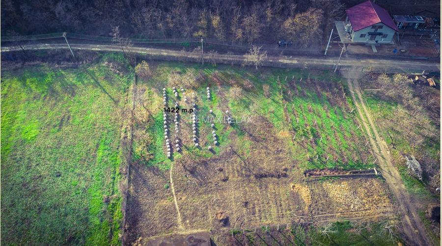 Teren Intrarea Cotul Morii, comuna Victoria Iasi - 4
