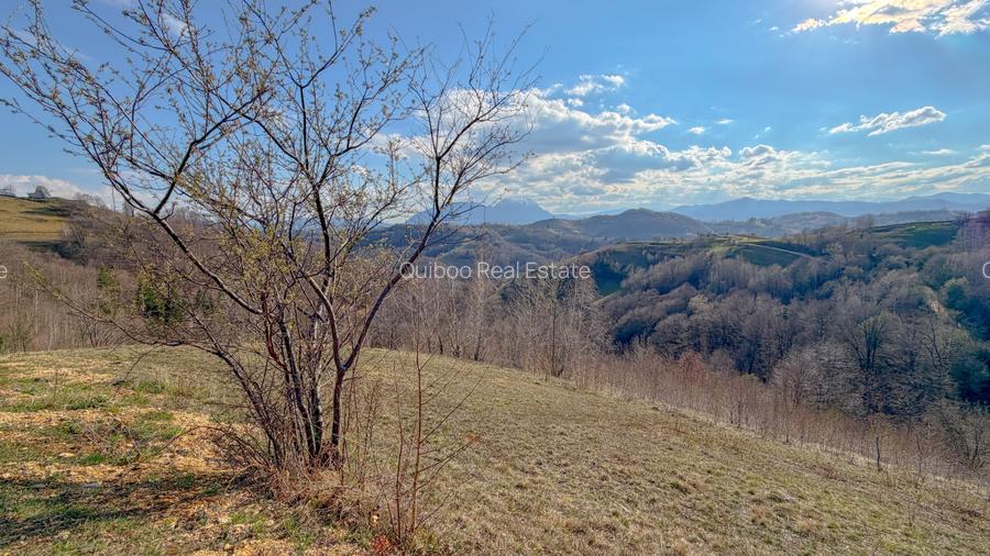 Refugiu de poveste în inima naturii | 12.000 mp în Holbav | Proiect început - 2