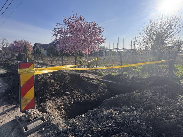 Teren Intravilan Becicherecu Mic 750mp,F.S 19ml,Utilitati,Asfalt - 3