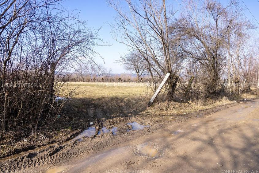 Bran Sohodol,5967mp+teren bonus,intravilan constructii P+E+M,comision0 - 11