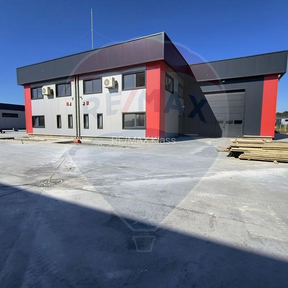 Hale noi de inchiriat Domnesti - putere instalata pana la 600kva - 23