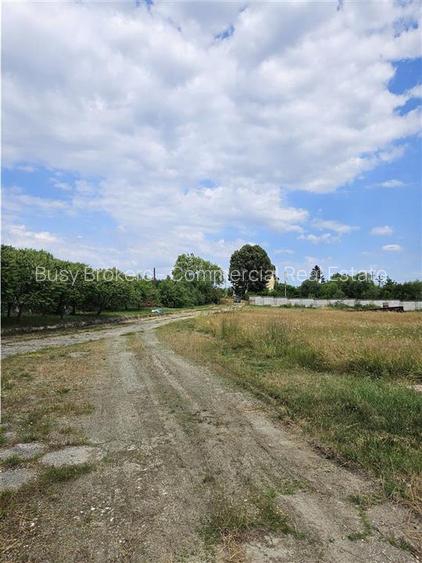 Proprietate Industriala - Productie - Industrie Alimentara - 20