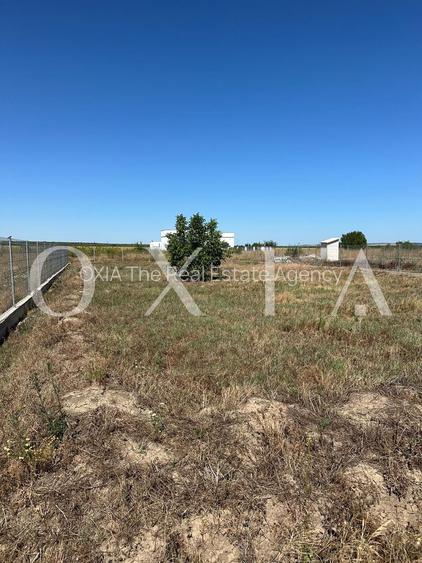 OX662 Casa pe un singur nivel, in Pischia - 8