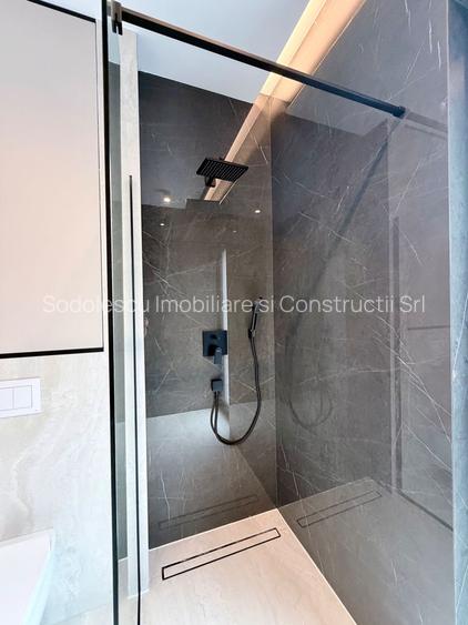 PROIECT DEOSEBIT ZONA LIPOVEI - 5