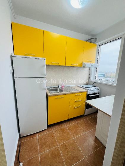 Garsonieră de închiriat – Liviu Rebreanu / ParkLake Mall / Parcul IOR - 10