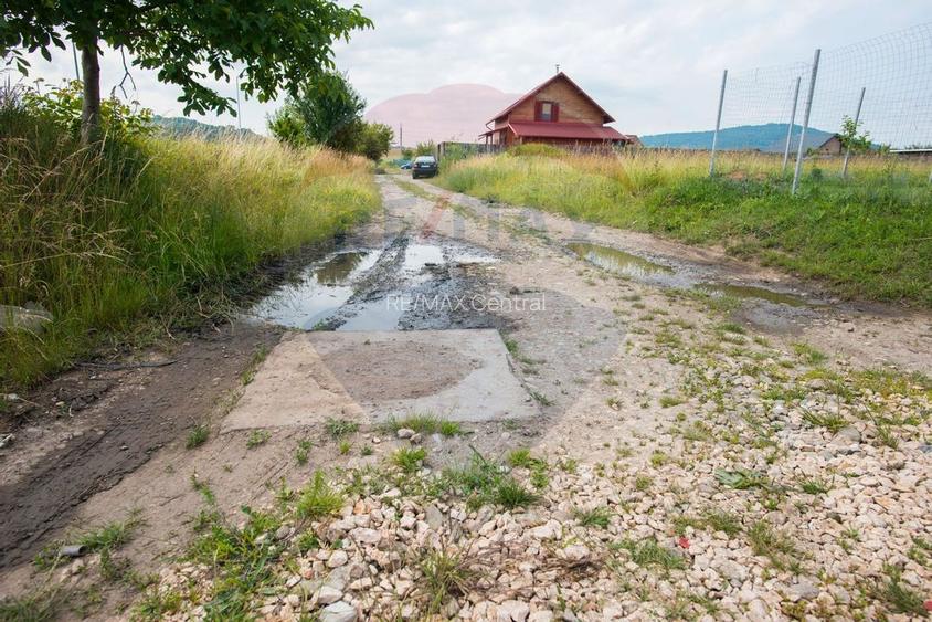 Teren Bod -Strada Harmanului, 732mp, posibil 1098mp/ 2196mp, utilitati - 13