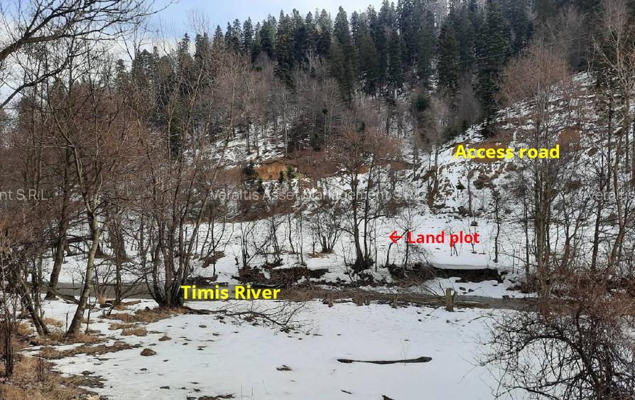De vanzare teren intravilan 4.500 mp, Timisul de Jos, langa DN1 si PETROM - 3