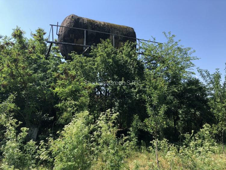 Vand teren agricol in Teleorman-Radoiesti/Cetate-Comision 0! Proprietar direct! - 5