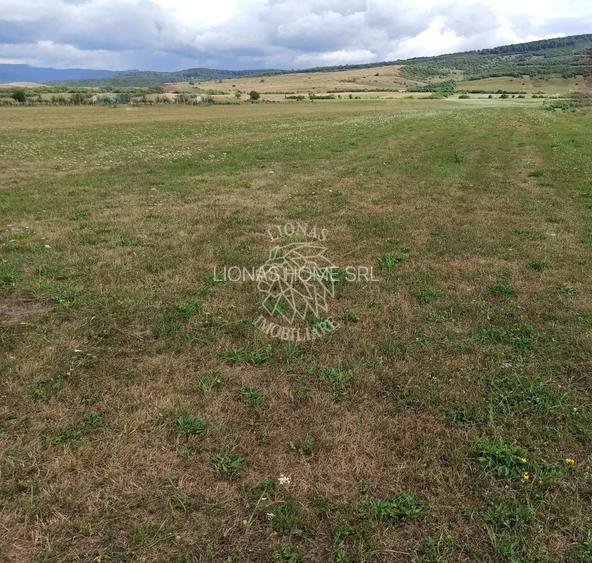 Teren intravilan 5217 mp cu utilitati-ideal case-Livezile - 2