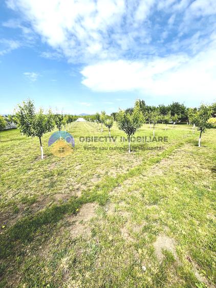 COMPLEX TURISTIC - GIROV  judetul NEAMT - 9