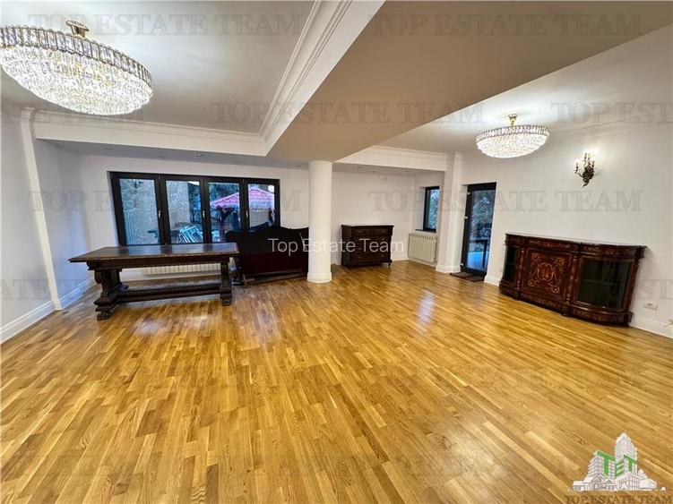 Vila pretabila rezidenta/office Iancu Nicolae - 3