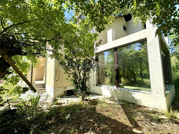 Vila cu 13 camere *4000mp teren* / Piscina / Snagov - 8