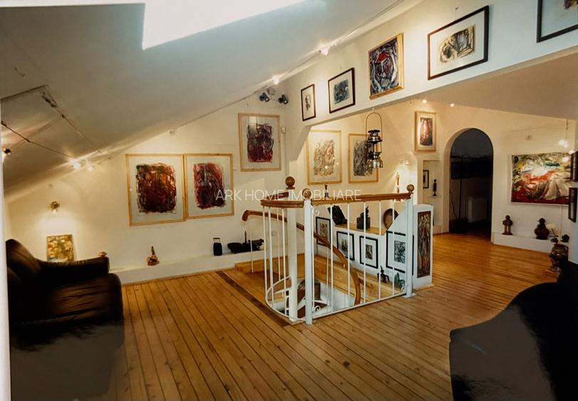 Spatiu Comercial Stradal Dacia - 2