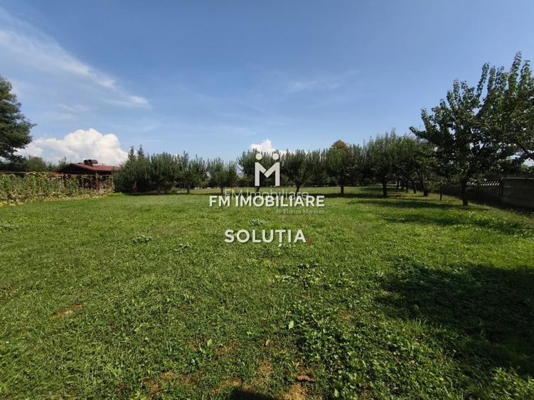 Complex industrial  cu teren 18,672 mp Târgu Lăpuș - 26