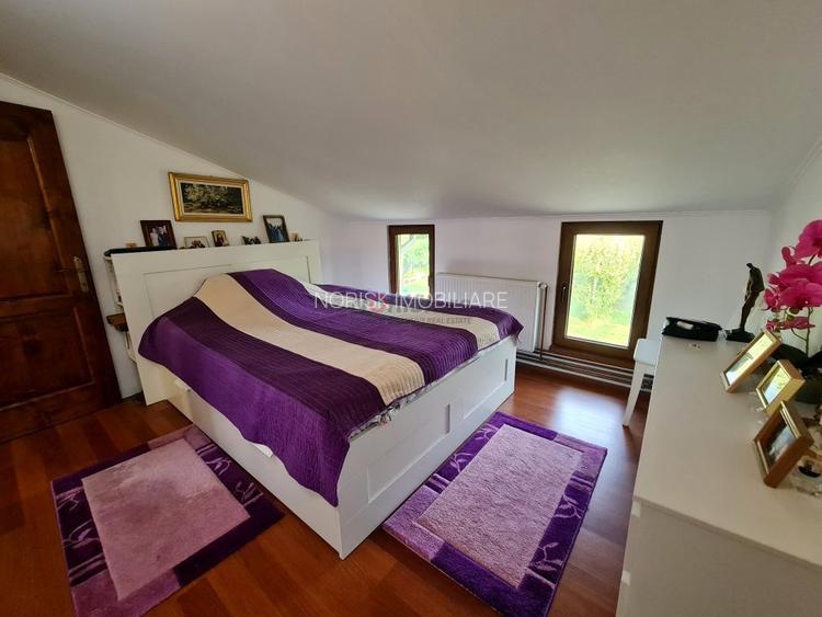 Vila + Afacere 15.000mp Clinceni - 21