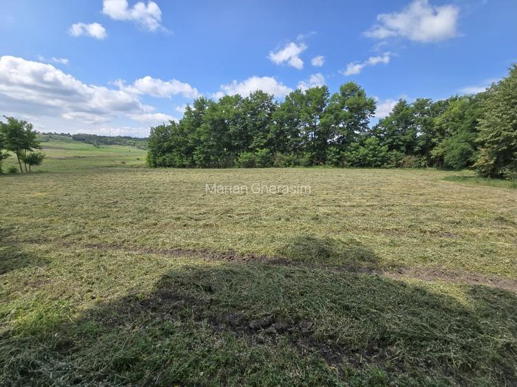 Vând teren intravilan 4.725 mp – comuna Roma, jud. Botoșani - 2