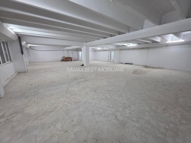 Theodor Pallady, 10 minute metrou 1 Decembrie 1918, stradal - 13