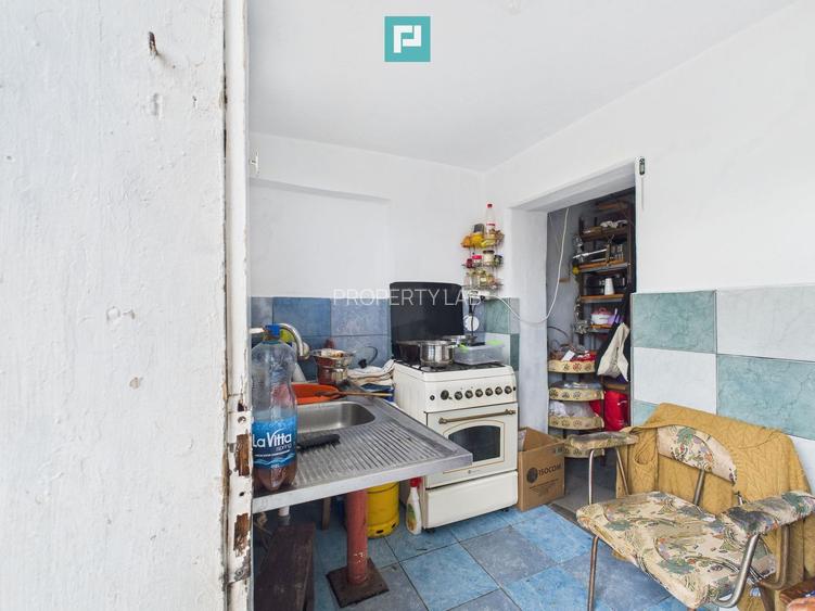 Casă individuală la Beregsău Mare, 2890 mp teren - 25