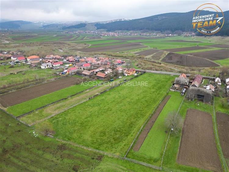 FILM!Potential rezidential/ investitional: 8.000 mp intravilan construibil, Sanz - 13