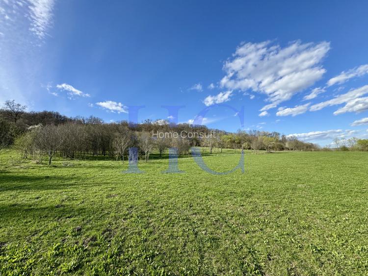 Teren | Sat Bradu, Jud. Sibiu | Ideal Cabane A-Frame & Parcelare - 5