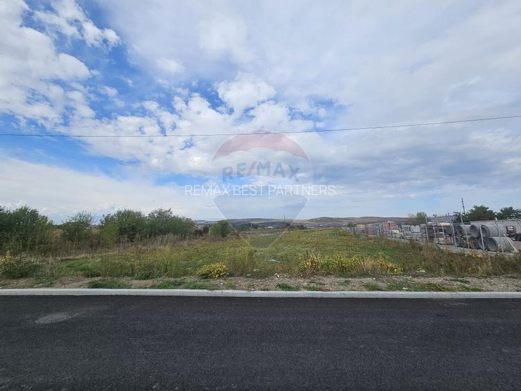 De vanzare teren industrial cu PUZ aprobat - 4