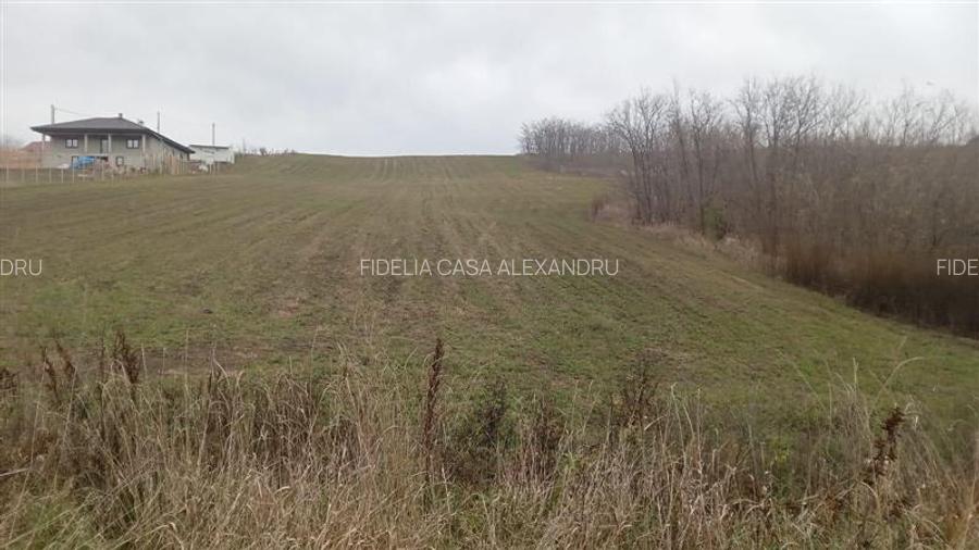 Teren constructii case Rediu - 2