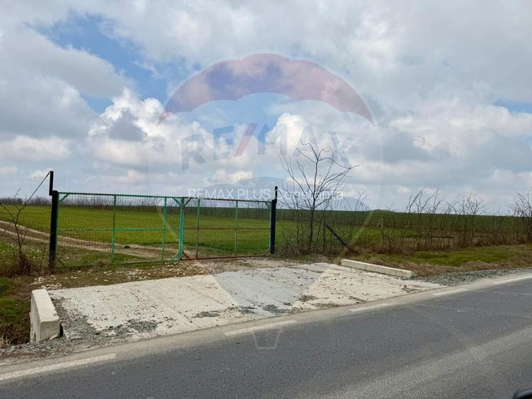 Teren extravilan Săcele ideal pentru silozuri, fermă sau investiție - 16