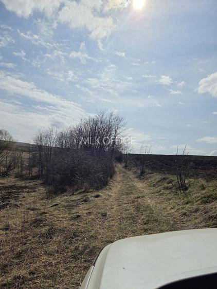 Teren de vanzare Pata Cluj - 3