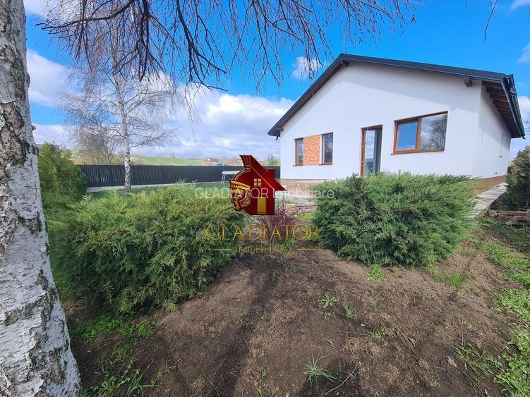 Casa plan parter deosebita, Lunca Cetatuii Ciurea, la asfalt, zona vis - 10