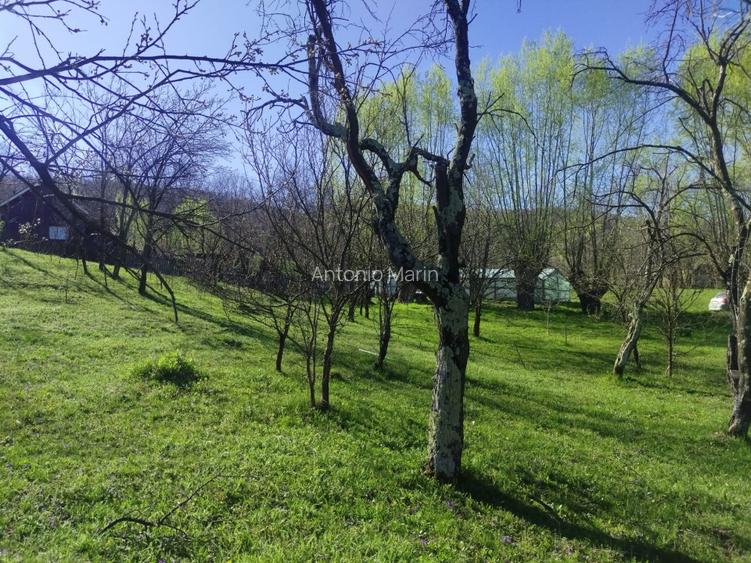Teren intravilan com.Drajna, sat Cătunu, 12 km de Vălenii de Munte, jud. Prahova - 6