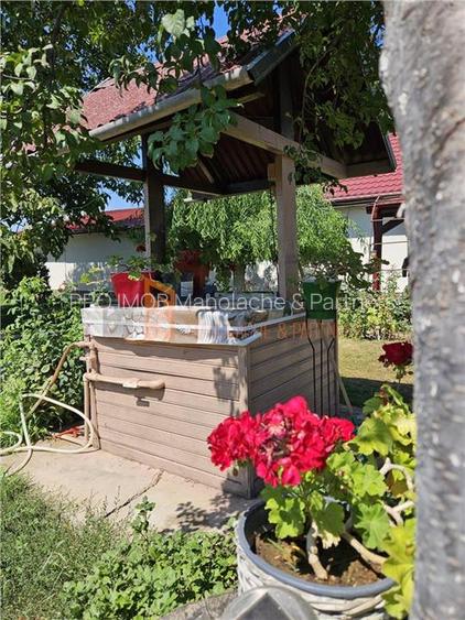 Casa tip parter + beci si teren 4684 mp in Candesti, Vernesti - 21