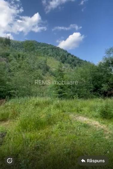 Teren pentru constructie in Valea Ierii cu front la dum asfaltat si utilitati - 2