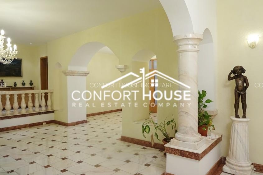 Proprietate impresionanta D+P+M, teren 4781MP, IANCU NICOLAE - 11