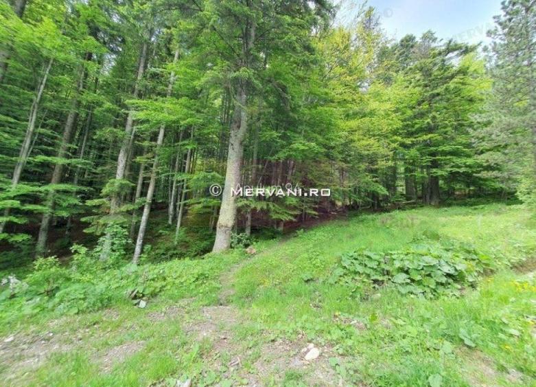 Teren intravilan de vanzare in Sinaia - Zona Furnica - 3