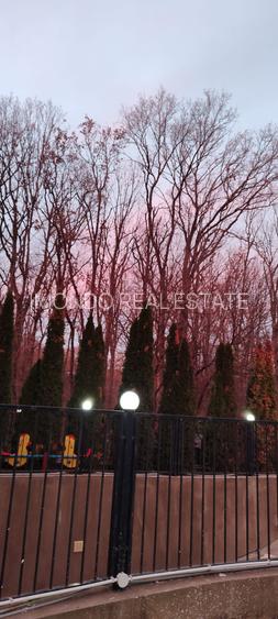 3 Camere I PIPERA I Iancu Nicolae - 15