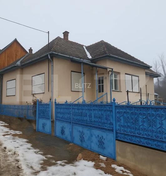 Casă țărănească cu 242 mp utili și teren de 1315 mp, Mănăstireni - 3