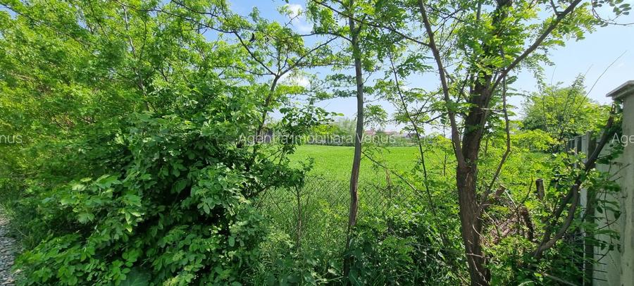 Teren intravilan ideal investitie in Catamarasti Deal - 3