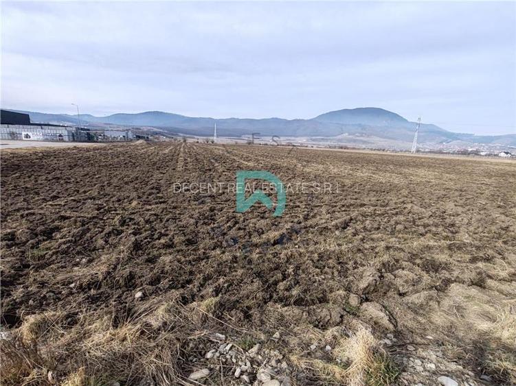 Teren intravila Industrial, 38800 mp, cu Autorizatie de Construire, Codlea Braso - 6