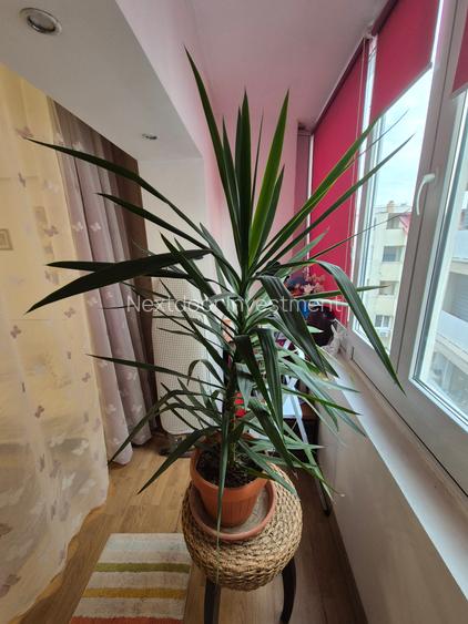 2 camere Cismigiu - Popa Tatu - 4