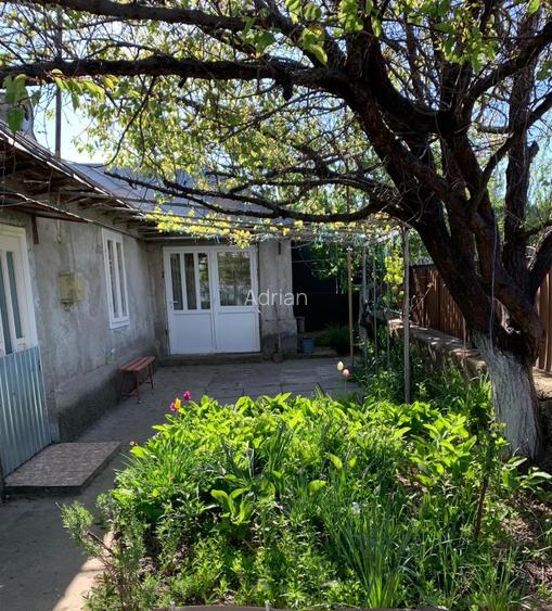  Proprietate de vânzare în Măcin – 6000 mp teren, vie productivă + proiect casa - 3