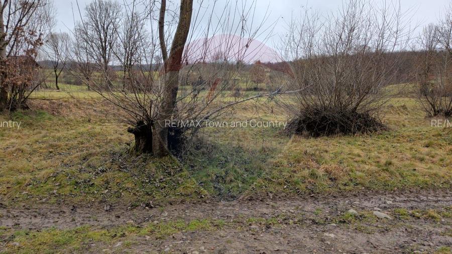 Teren 2,932mp Sarbi (Budesti) / Drumul Principal - 4