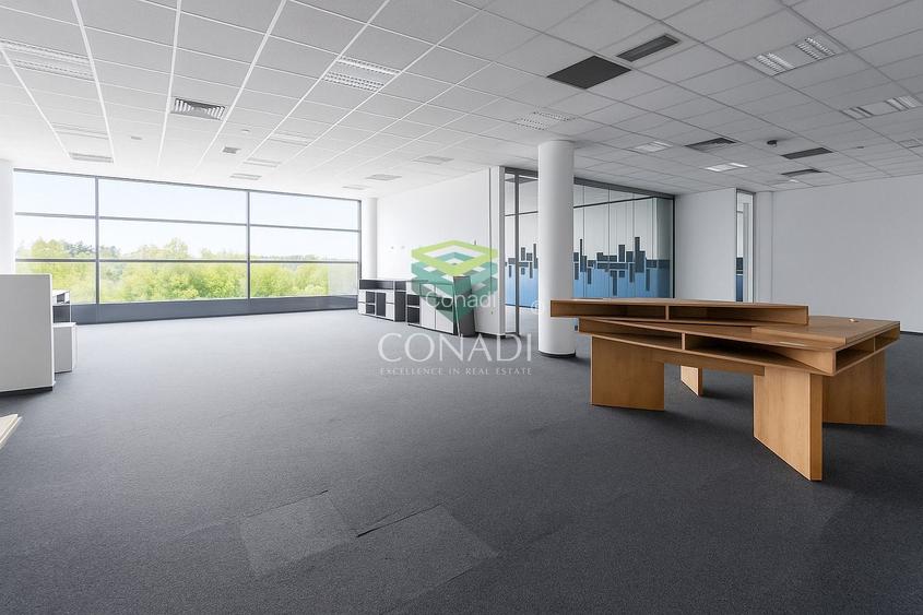 Baneasa, spatiu de birouri de inchiriat, 311 mp - 4