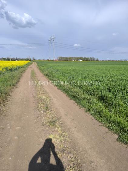 Frumusani DN 4 Popas-20km de Bucuresti , posibilitate parcelare - 3