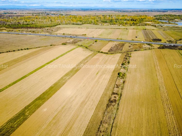 Terenuri industriale cu deschidere la A1, km 64 – Jugureni, Dambovita - 5