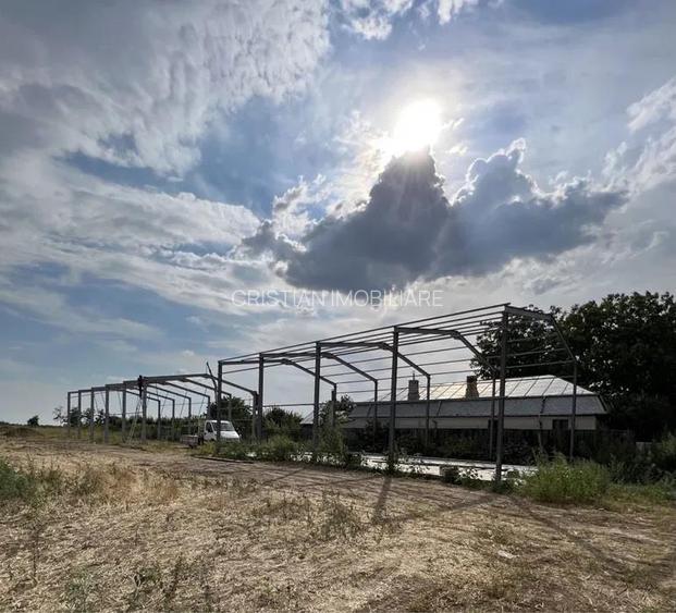 Teren 2500 mp, curent 3,80W, pretabil hala sau constructii - 4