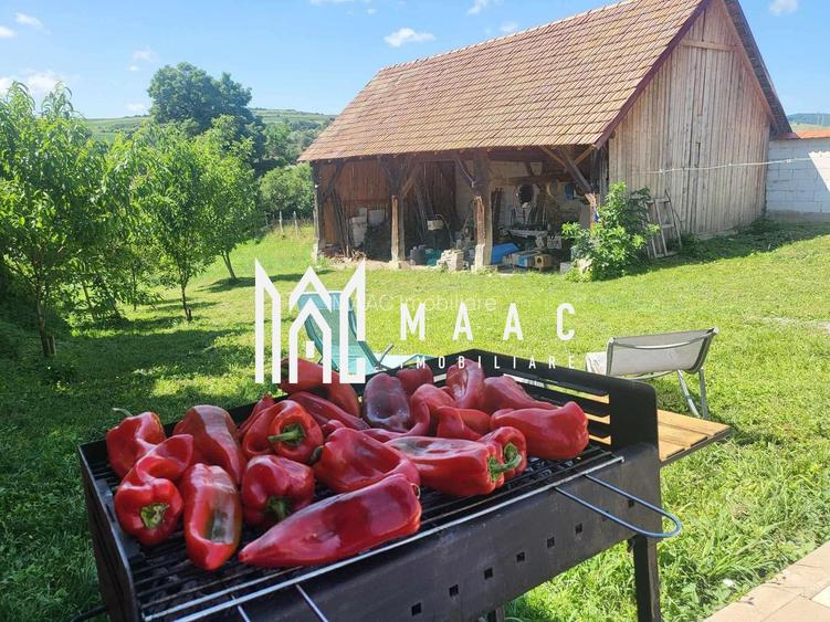 Casa 2 corpuri individuale| 30 km de Sibiu | Teren 1500 mp - 2