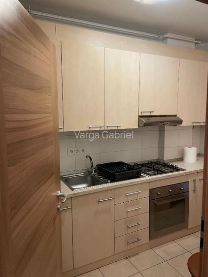 Apartament cu o camera in Piata Doina - 7