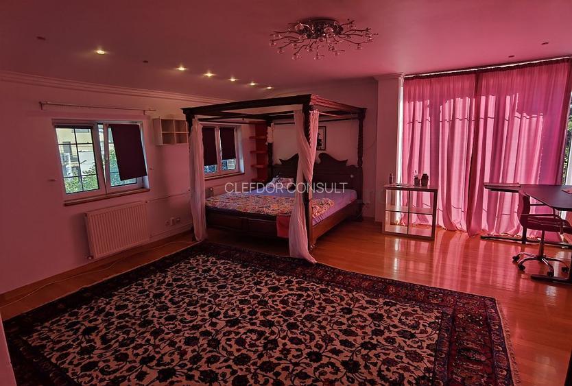 Vila Individuala cu Piscina- Pretabila pentru GRADINITA - 16